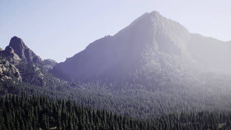 majestic mountain range rising above dense evergreen forest at dawn
