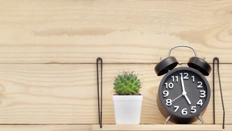 black watch and a baton in a white diamond pot placed on a shelf next to a wooden wall