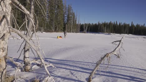 hombre arrastrando trineo de nieve de expedición lleno de equipo de campamento a través de la naturaleza