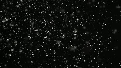 stormy weather, snow falling, medium size snowflakes isolated on black background. real lens flare that is easy to use in blend / overlay modes.