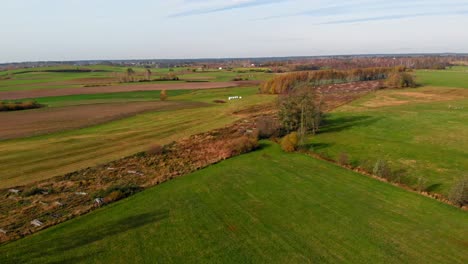 Aerial-shot-of-Three-common-cranes-taking-off-from-green-field-in-Kaszuby,-Poland