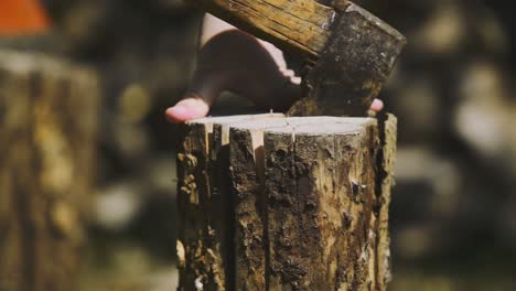 Afternoon standing footage from the firewood cut scene with impacted axe at home