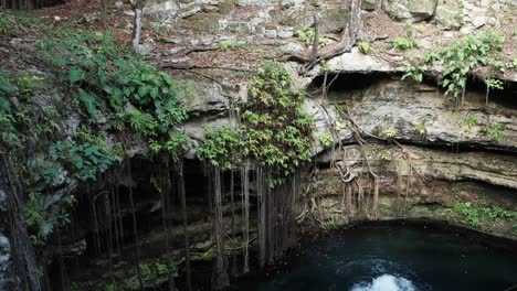 un hombre salta desde un acantilado a un cenote en la región de yucatán en méxico