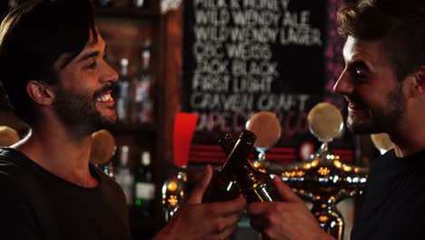 Two-male-friends-interacting-with-each-other-while-toasting-a-beer-bottles