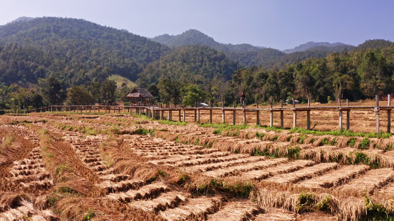 Aerial Shot of Girl Walking on Boon Ko Ku So Bamboo Bridge in Pai, Thailand