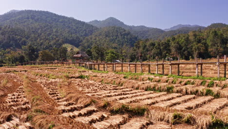 aerial shot of girl walking on boon ko ku so bamboo bridge in pai, thailand