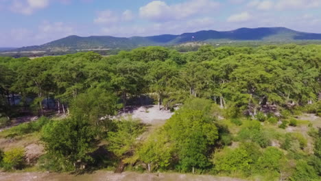 Quiet-and-calm-ranch-land-in-the-Texas-hill-country-on-a-summer-early-afternoon