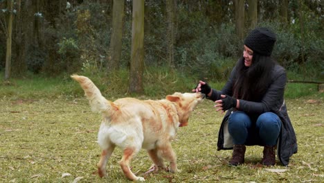 a lovely moment. woman playing with her dog