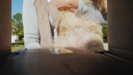 a young woman with a small dog in her arms picks up letters from a mailbox