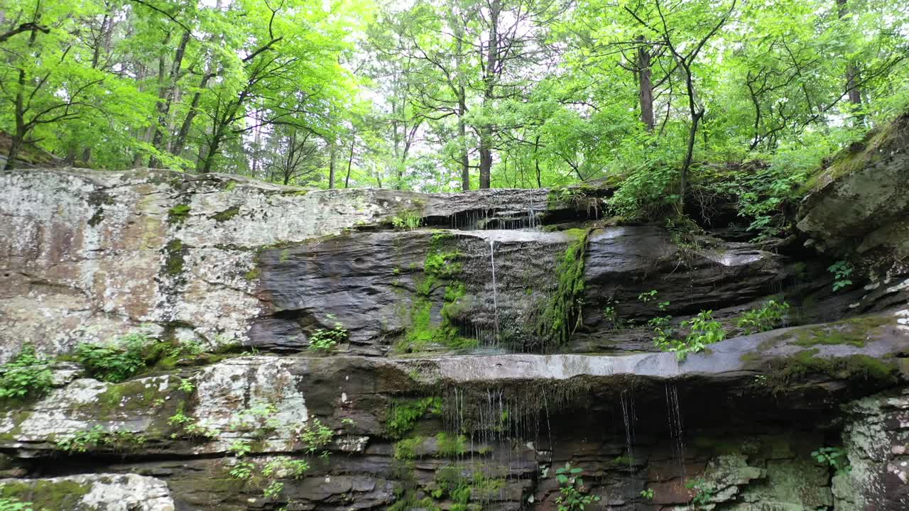 울창한 녹색 숲의 바위 절벽 작은 폭포, 돌리 뒤로