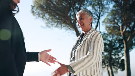 sociedad, mujeres o hombres de negocios sacudiendo