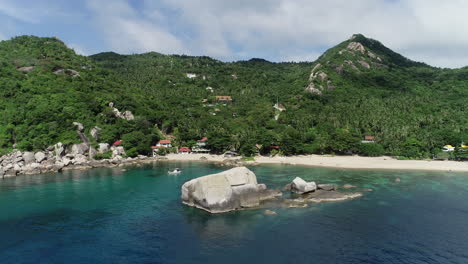 coral reef in tropical bay