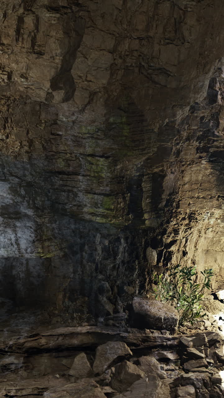 Formazione rocciosa naturale in una grotta con una pianta verde vicino a una fonte di luce.