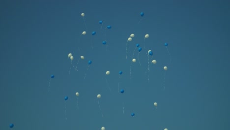 holiday balloons flying in blue sky. birthday white and blue balloons in sky