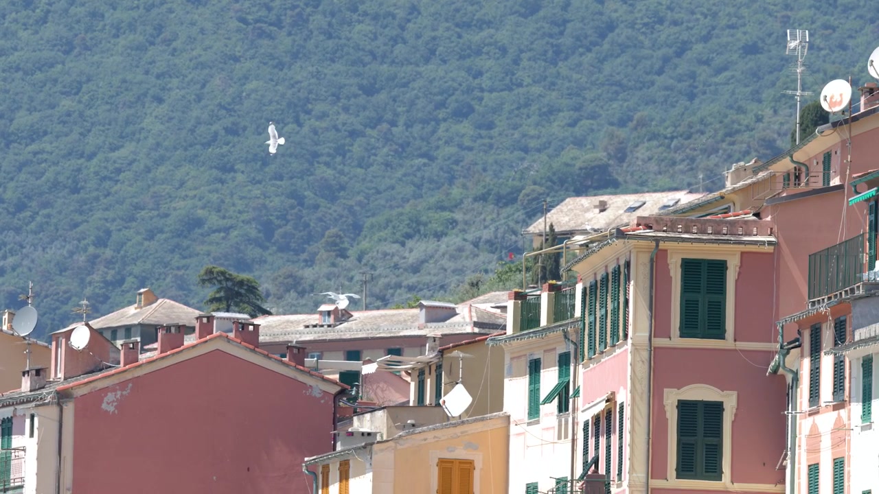 Gabbiano che vola sopra edifici costieri mediterranei colorati