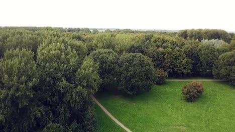 drone flying over the tree tops in a park in the netherlands