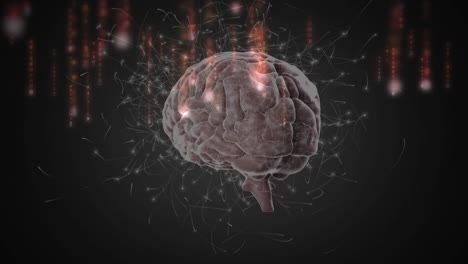 animación de la red de conexiones sobre el cerebro