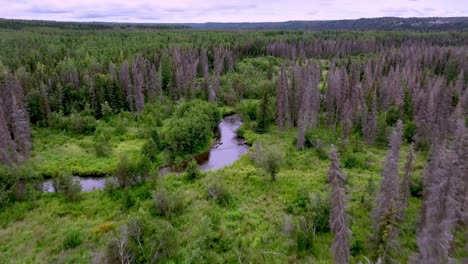 La-Divertida-Antena-Del-Río-Cerca-De-Soldotna,-Alaska.