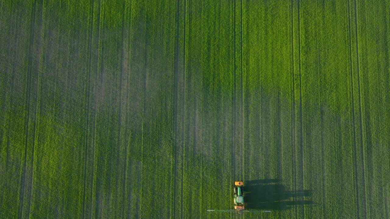 vista aérea de un agricultor rociando campos de cultivos con tractor, rociado de pesticidas y fertilizantes, noche soleada de verano, luz de la hora dorada, disparo de ojo de pájaro de avión no tripulado de amplio descenso