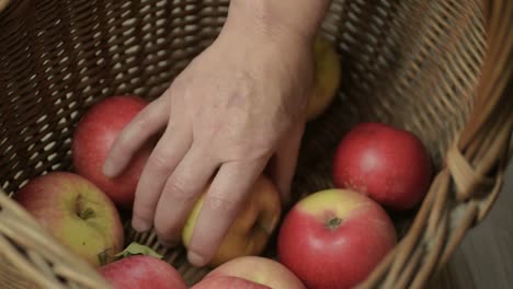 Recogiendo-A-Mano-Frutas-De-Una-Cesta-De-Manzanas-Rojas-Maduras-Frescas