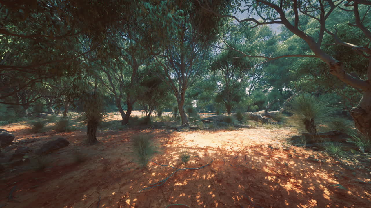 Lush woodland path illuminated by sunlight in a serene forest setting