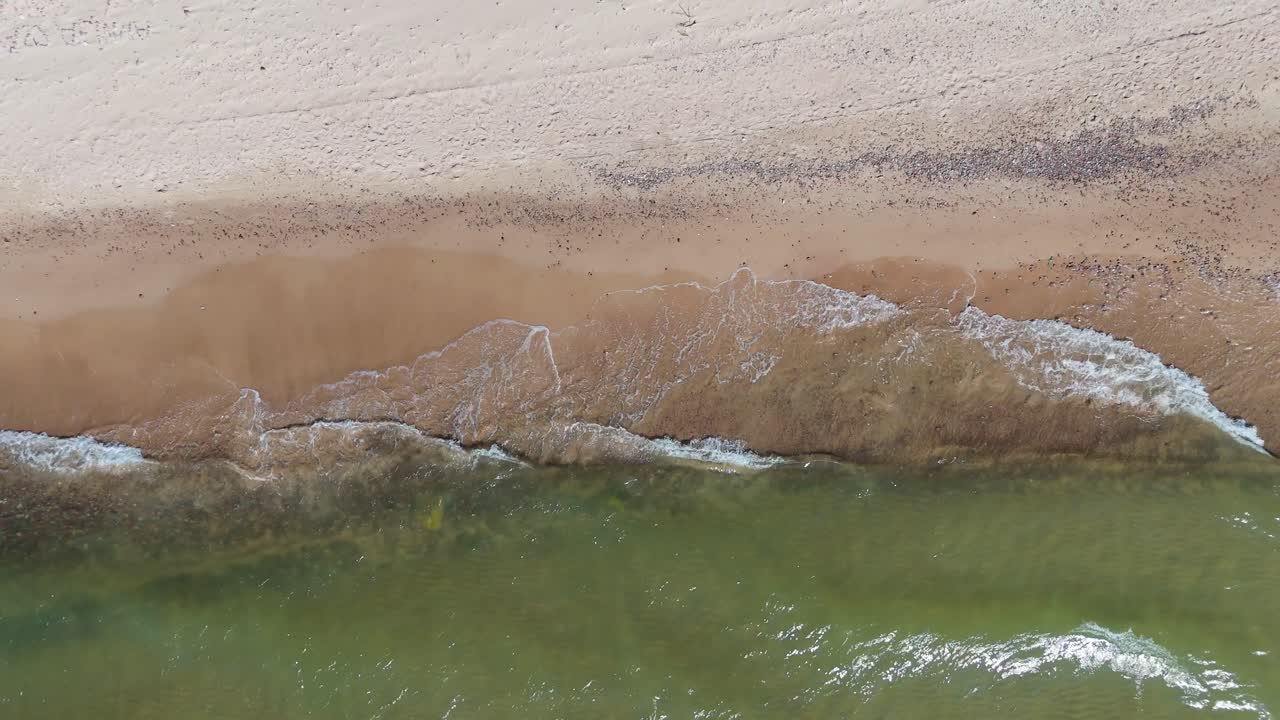 Aerial Drone Footage of Baltic Sea Waves Crashing Against Sandy Shoreline in Latvia Scenic Top-Down View of Coastal Landscape on a Bright Sunny Day with Natural Rhythmic Ocean Motion