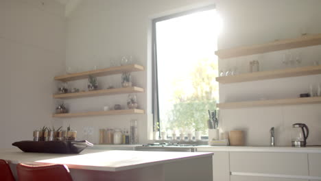 A-modern-kitchen-bathed-in-sunlight,-with-wooden-shelves-and-plants