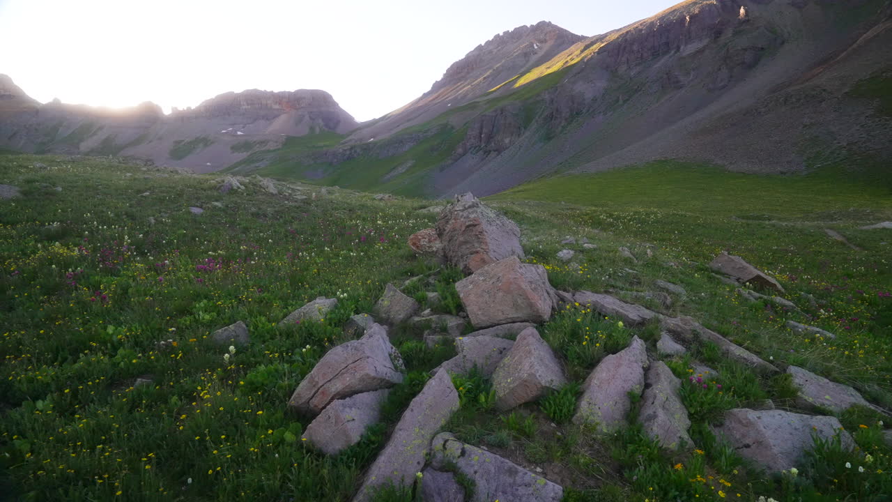 кинематографическая сковородка слева медленно ошеломляющий красочный дикий цветок колумбин колорадо последний сумерки закат золотой час свет ледяной бассейн озера сильвертон теллурид ouray тропа вершина вершины скалистых гор пейзаж