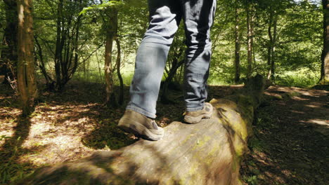 footage of a man walking on top of a tree trunk that has fallen to the ground