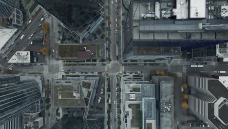 seattle downtown tracking bird's eye aerial view top to bottom above biophilic structure