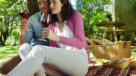 pareja interactuando mientras beben vino tinto en el parque