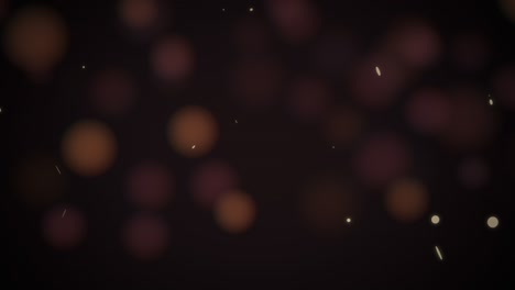 bokeh redondo de mosca marrón sobre fondo negro