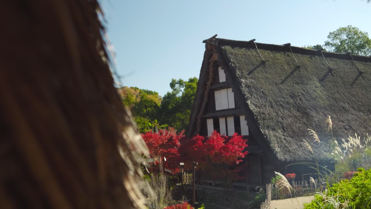 가을 의 색 을 반영 한 시라카와-고 집 의 놀라운 모습