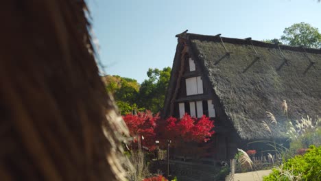 stunning reveal of shirakawa-go straw houses during fall colors