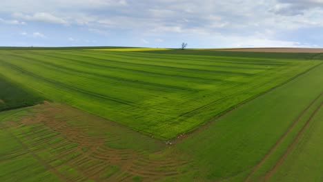 Wide-shot-of-a-field-in-a-region-of-France