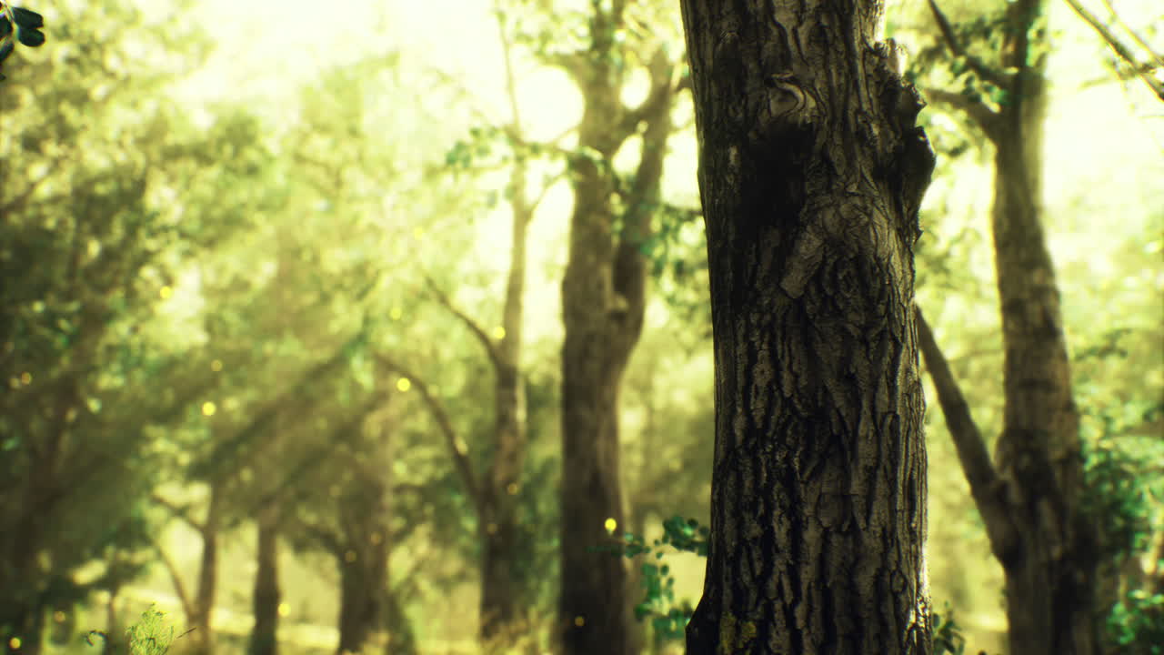 Mystical forest with ancient trees bathed in soft green light