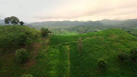 Luftaufnahmen-Von-Landwirtschaftlich-Genutzten-Flächen-Mit-Einer-Bergkette-Im-Hintergrund