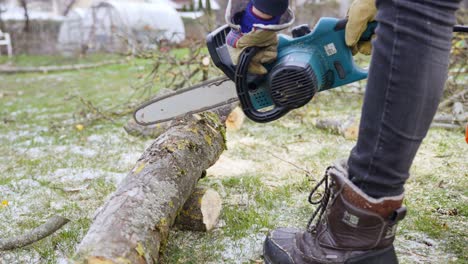 sawing apple tree trunk with an electric chainsaw - spring cleaning in garden