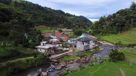 drone-shot,-countryside-in-a-stretch-of-green-rice-fields