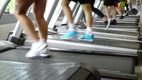 A young woman with a beautiful figure on a treadmi 4k 2025 06 09 05 14 29 utc.mov | active, active lifestyle, athlete, athletic