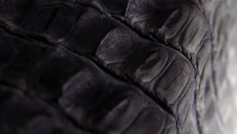 an intricate and detailed leather material. close-up shot