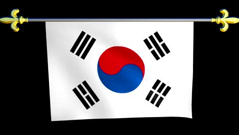 large looping animated flag of republic of korea