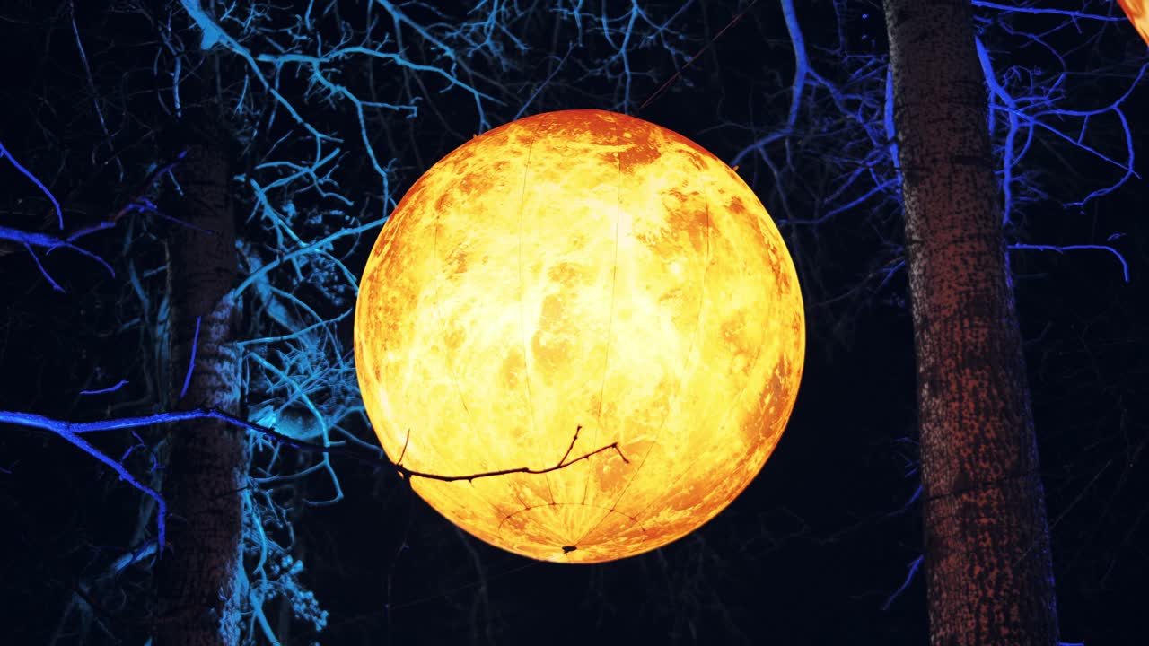 Une sphère lunaire chaude brille tandis que des branches bleues encadrent une vue surréaliste d’une forêt nocturne