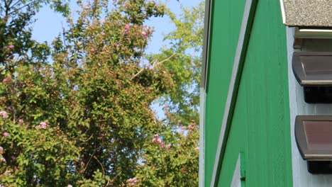 pan across mini solar panels mounted on backyard shed