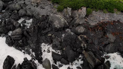 Aerial-view-of-Fur-Seal-colony-and-New-Zealand-coastline,-cloudy-day