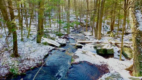 Gentle-stream-running-through-a-green-forest-just-after-an-early-springtime-snowfall