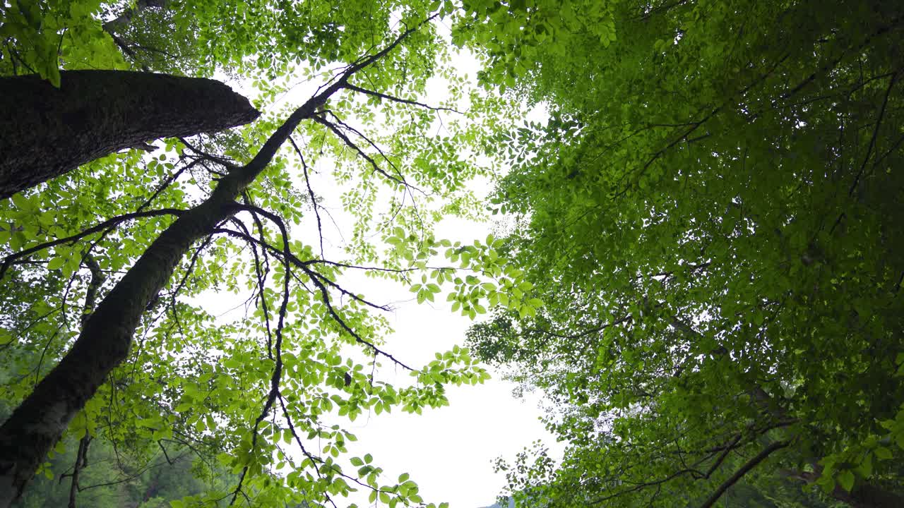 paisaje natural y lago.