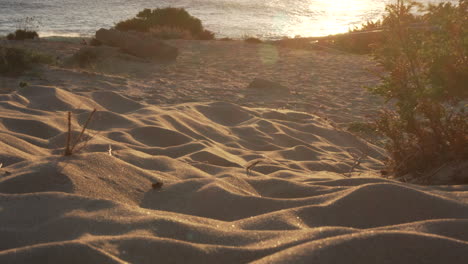 close view of white sand mounds in the beach with the ocean in the background during a sunset