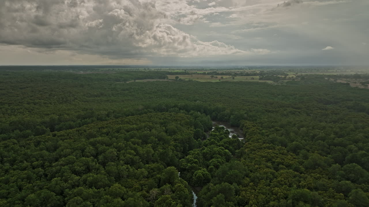 pedregal panamá vista aérea v3 del paisaje natural, sobrevuelo de drones prístino bosque de manglares con densa vegetación verde y nubes tormentosas tropicales en el cielo - filmado con cine mavic 3 - abril de 2022