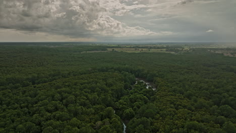 Pedregal-Panamá-Vista-Aérea-V3-Del-Paisaje-Natural,-Sobrevuelo-De-Drones-Prístino-Bosque-De-Manglares-Con-Densa-Vegetación-Verde-Y-Nubes-Tormentosas-Tropicales-En-El-Cielo---Filmado-Con-Cine-Mavic-3---Abril-De-2022